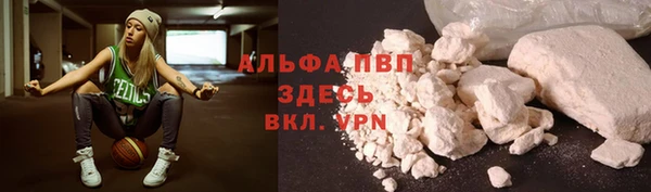 кокс Арсеньев