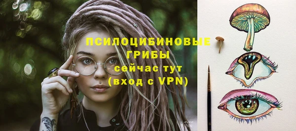 кокс Арсеньев