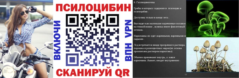Галлюциногенные грибы GOLDEN TEACHER  Купить где  Енисейск 